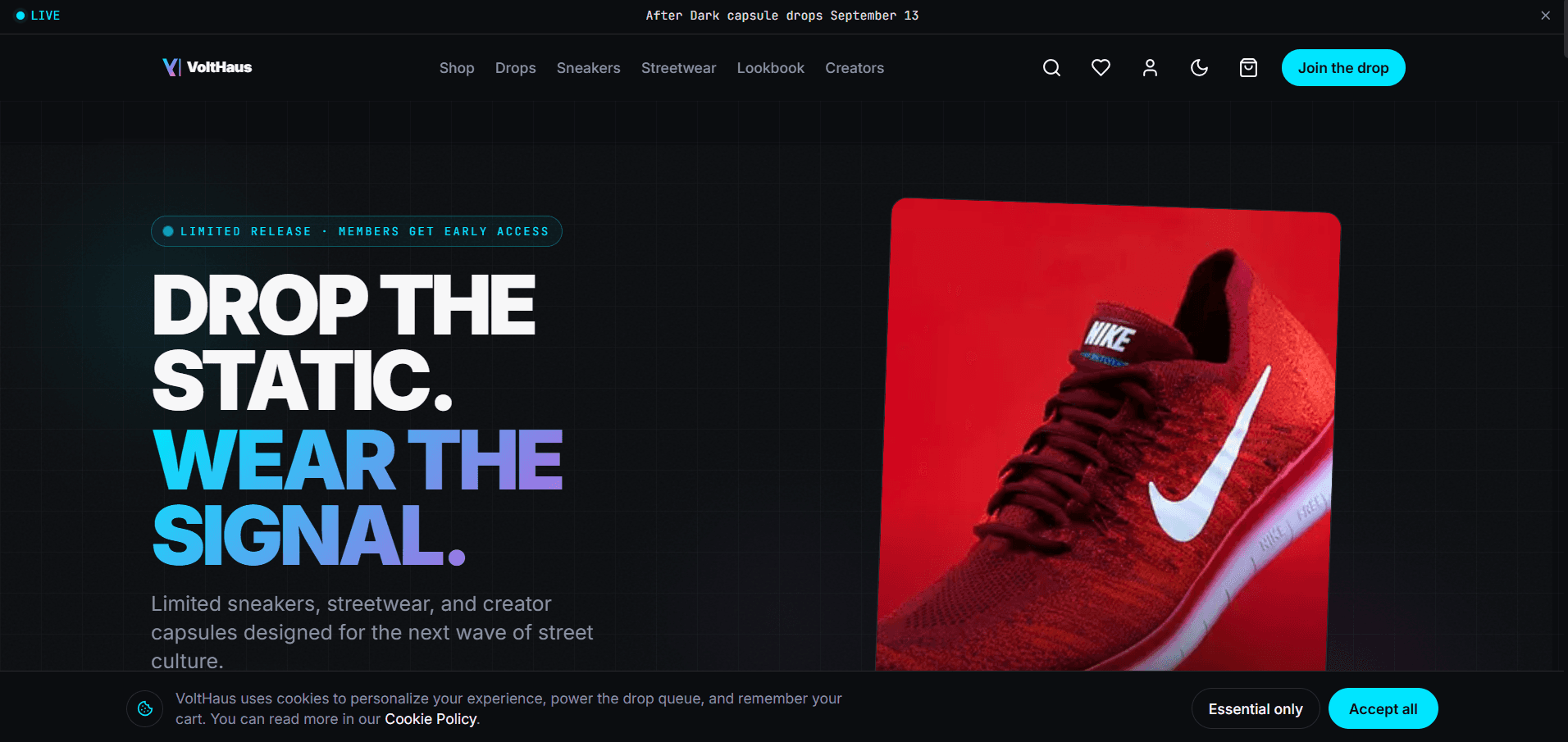 Ecommerce Website Template Conversion and Trust Checklist