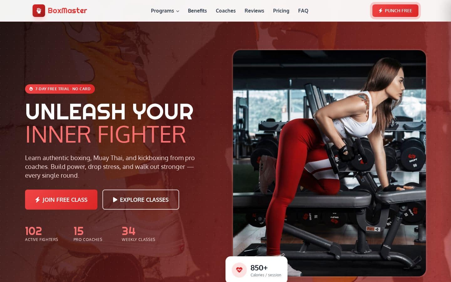BoxMaster - Boxing & Combat Fitness